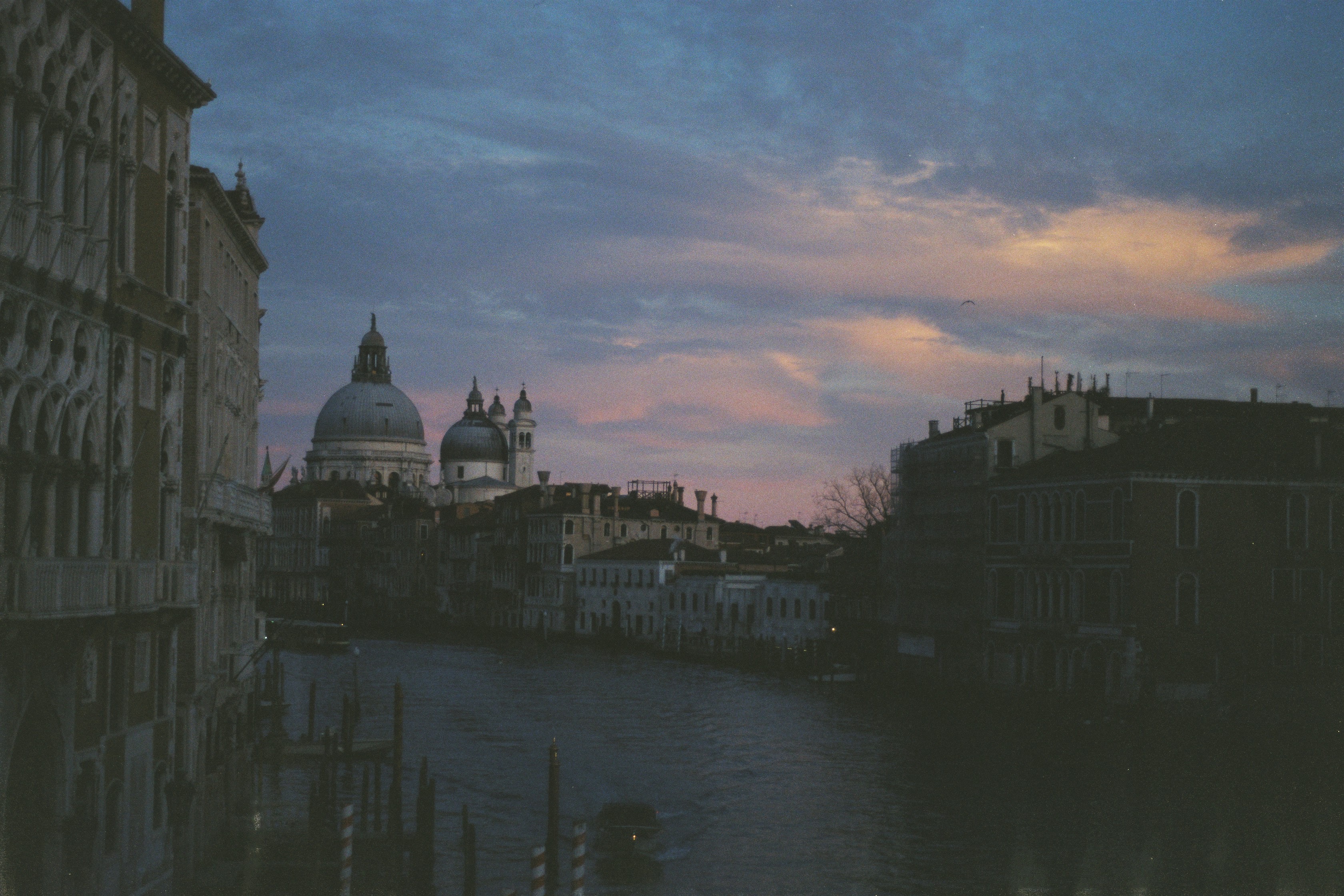 Sophia (given name) visual data 2